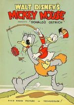 Watch Donald\'s Ostrich (Short 1937) Megavideo