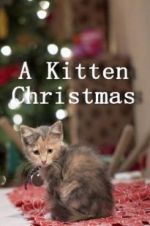 Watch A Kitten Christmas Megavideo