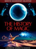 Watch The History of Magic Megavideo