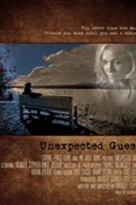 Watch Unexpected Guest Megavideo