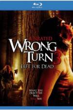 Watch Wrong Turn 3: Left for Dead Megavideo