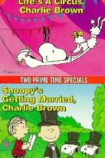 Watch Snoopy's Getting Married Charlie Brown Megavideo