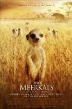 Watch The Meerkats Megavideo