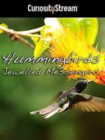 Watch Hummingbirds Jewelled Messengers Megavideo