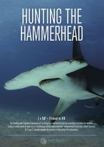 Watch Hunting the Hammerhead Megavideo