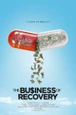 Watch The Business of Recovery Megavideo