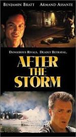 Watch After the Storm Megavideo
