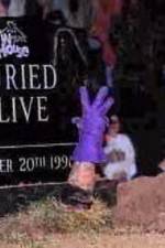 Watch WWF Buried Alive In Your House Megavideo