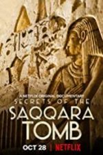 Watch Secrets of the Saqqara Tomb Megavideo