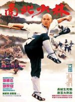 Watch Martial Arts of Shaolin Megavideo