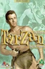 Watch Tarzan and the Trappers Megavideo