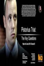 Watch Pistorius Trial: The Key Questions Megavideo
