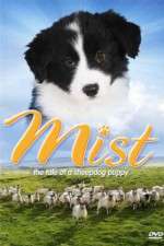 Watch Mist: The Tale of a Sheepdog Puppy Megavideo