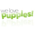 Watch We Love Puppies Megavideo