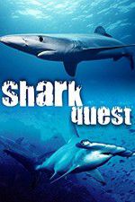 Watch Shark Quest Megavideo