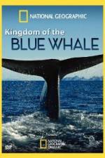 Watch National Geographic Kingdom of Blue Whale Megavideo
