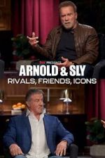 Watch Arnold & Sly: Rivals, Friends, Icons Megavideo