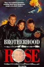 Watch Brotherhood of the Rose Megavideo