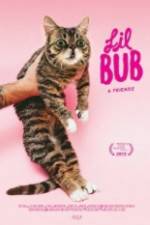 Watch Lil Bub & Friendz Megavideo