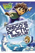 Watch Go Diego Go: Diego's Arctic Rescue Megavideo