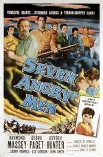Watch Seven Angry Men Megavideo