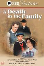 Watch A Death in the Family Megavideo