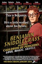 Watch Benjamin Sniddlegrass and the Cauldron of Penguins Megavideo