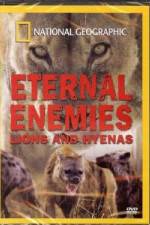 Watch National Geographic Eternal Enemies: Lions and Hyenas Megavideo