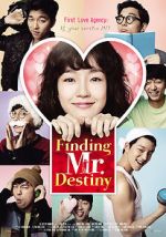 Watch Finding Mr. Destiny Megavideo