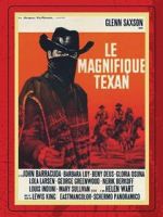 Watch Il magnifico Texano Megavideo
