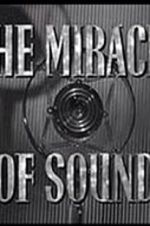 Watch The Miracle of Sound Megavideo