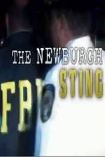 Watch The Newburgh Sting Megavideo