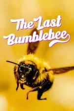 Watch The Last Bumblebee Megavideo