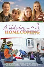 Watch A Holiday Homecoming Megavideo