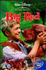 Watch Big Red Megavideo