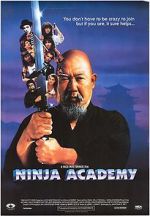 Watch Ninja Academy Megavideo