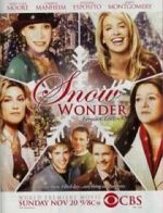 Watch Snow Wonder Megavideo