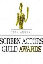 Watch The 20th Annual Screen Actors Guild Awards Megavideo