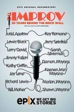 Watch The Improv: 50 Years Behind the Brick Wall (TV Special 2013) Megavideo