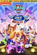 Watch Paw Patrol: Jet To The Rescue Megavideo
