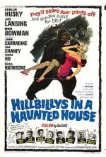 Watch Hillbillys in a Haunted House Megavideo