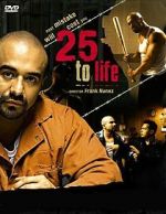 Watch 25 to Life Megavideo