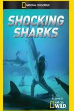 Watch Shocking Sharks Megavideo