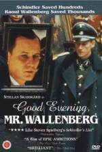 Watch Good Evening, Mr. Wallenberg Megavideo