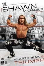 Watch The Shawn Michaels Story Heartbreak and Triumph Megavideo