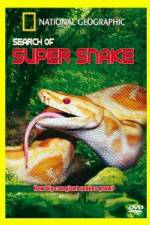 Watch National Geographic Search For The Super Snake Megavideo