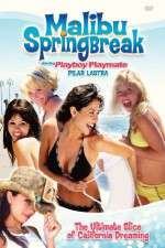 Watch Malibu Spring Break Megavideo