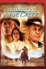 Watch Miracle at Sage Creek Megavideo
