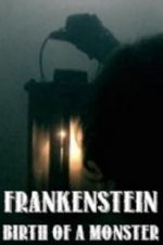 Watch Frankenstein: Birth of a Monster Megavideo