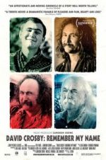 Watch David Crosby: Remember My Name Megavideo